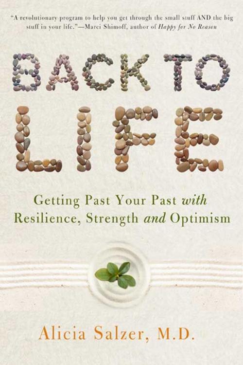 Cover of the book Back to Life by Dr. Alicia Salzer, HarperCollins e-books