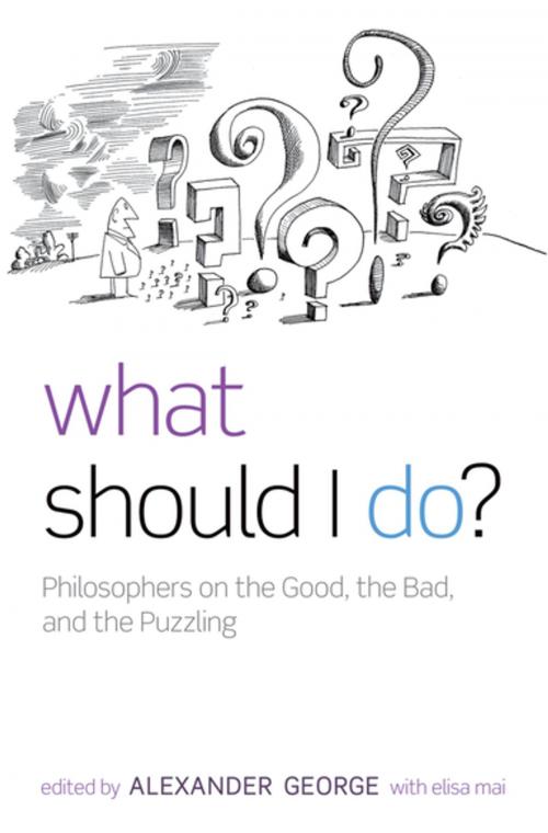Cover of the book What Should I Do? by Elisa Mai, OUP Oxford