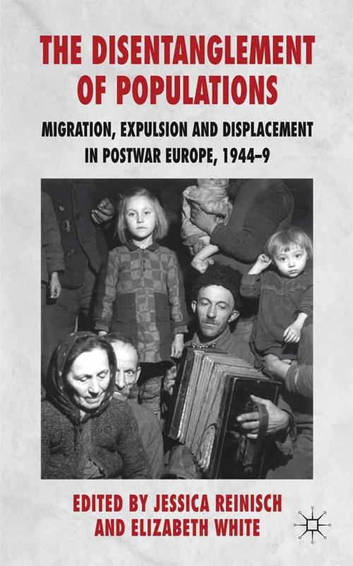 Cover of the book The Disentanglement of Populations by , Palgrave Macmillan UK