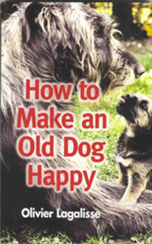 Cover of the book How to Make an Old Dog Happy by Olivier Lagalisse, Profile