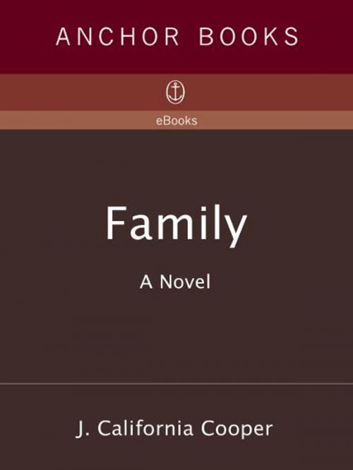 Cover of the book Family by J. California Cooper, Knopf Doubleday Publishing Group