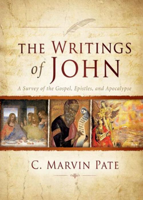 Cover of the book The Writings of John by C. Marvin Pate, Zondervan Academic