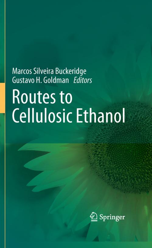 Cover of the book Routes to Cellulosic Ethanol by , Springer New York