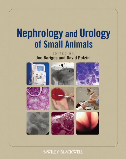 Cover of the book Nephrology and Urology of Small Animals by , Wiley