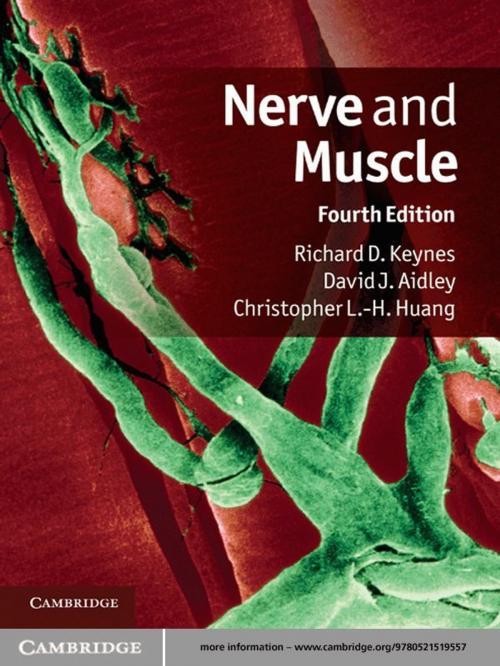 Cover of the book Nerve and Muscle by Richard D. Keynes, David J. Aidley, Christopher L.-H. Huang, Cambridge University Press