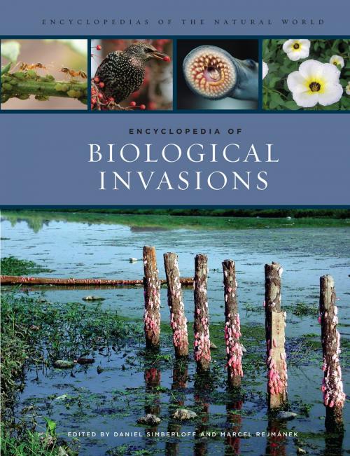 Cover of the book Encyclopedia of Biological Invasions by , University of California Press