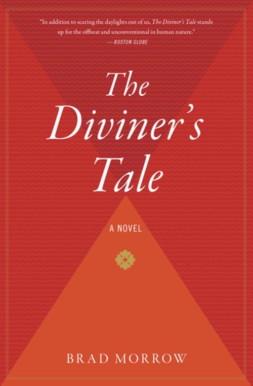 Cover of the book The Diviner’s Tale by Brad Morrow, Houghton Mifflin Harcourt