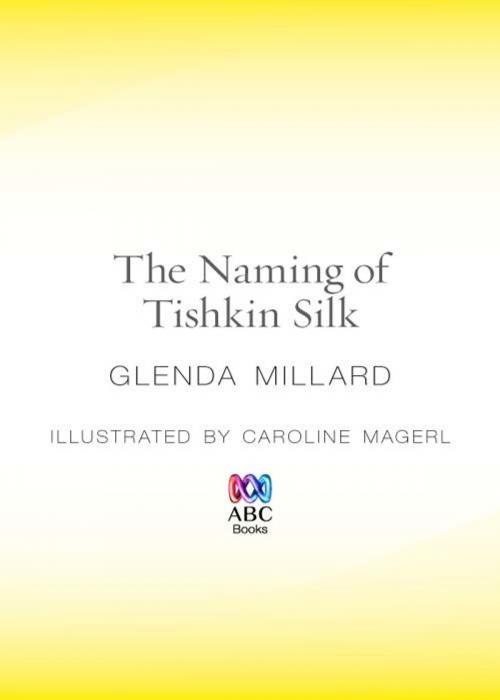 Cover of the book The Naming of Tishkin Silk by Glenda Millard, ABC Books