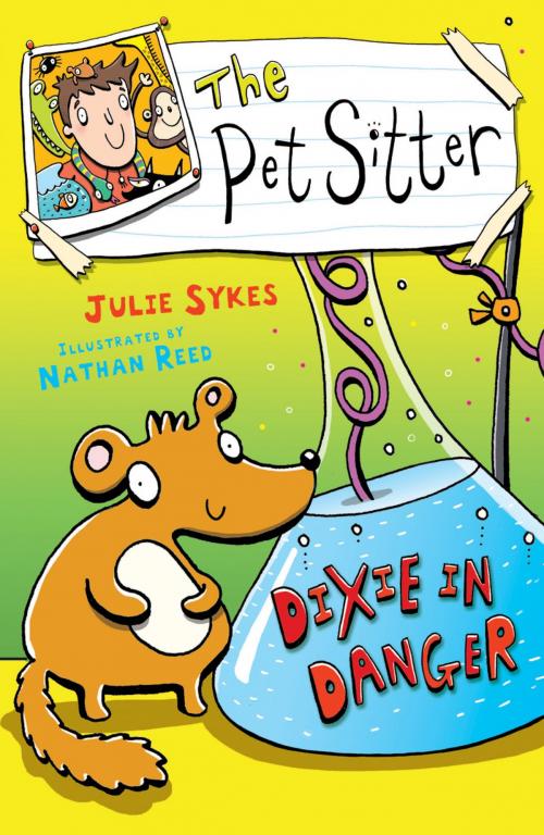 Cover of the book The Pet Sitter: Dixie in Danger by Julie Sykes, Pan Macmillan