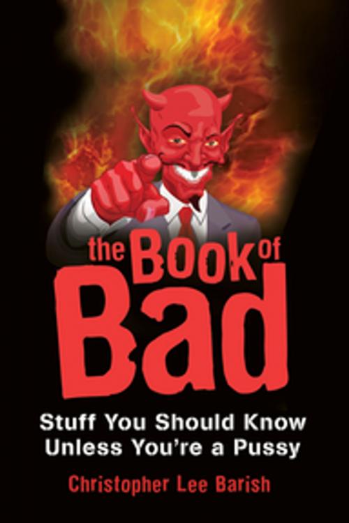 Cover of the book The Book of Bad: by Christopher Barish, Citadel Press