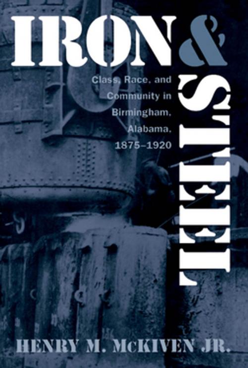 Cover of the book Iron and Steel by Henry M. McKiven, The University of North Carolina Press