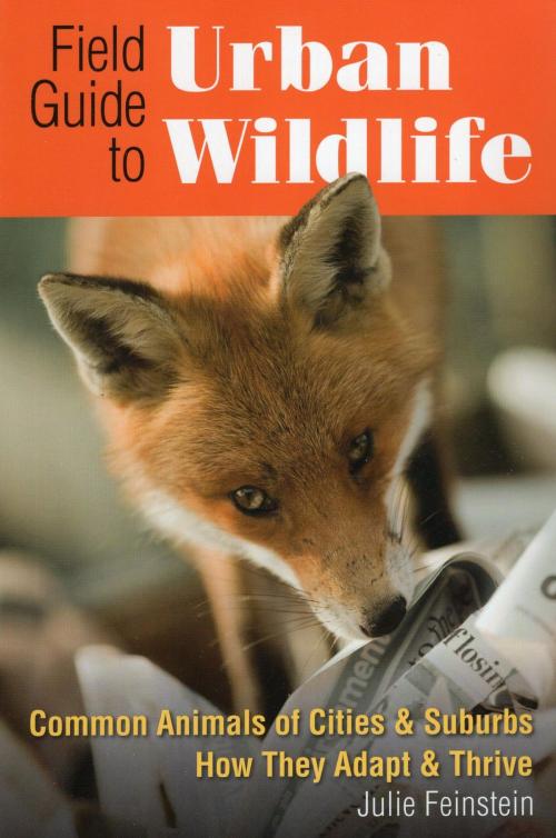Cover of the book Field Guide to Urban Wildlife by Julie Feinstein, Stackpole Books