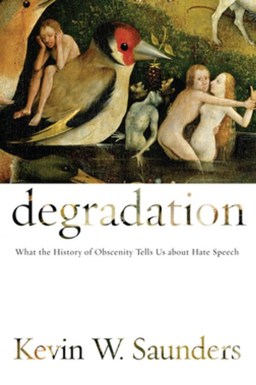 Cover of the book Degradation by Kevin W. Saunders, NYU Press