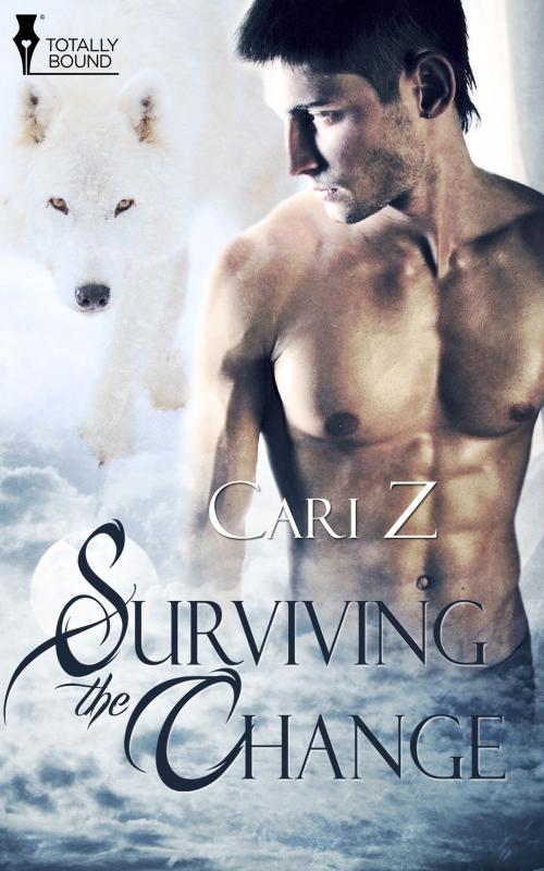 Cover of the book Surviving the Change by Cari Z, Totally Entwined Group Ltd