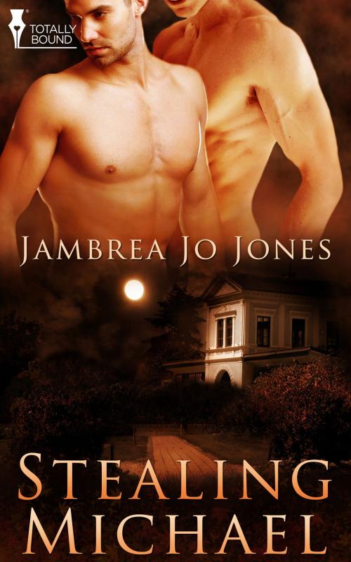 Cover of the book Stealing Michael by Jambrea Jo Jones, Totally Entwined Group Ltd