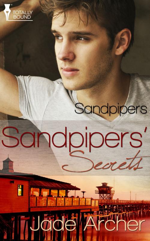 Cover of the book Sandpipers' Secrets by Jade Archer, Totally Entwined Group Ltd