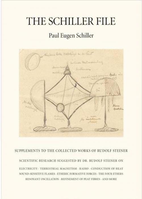 Cover of the book The Schiller File by Paul-Eugen Schiller, Henry Goulden, SteinerBooks