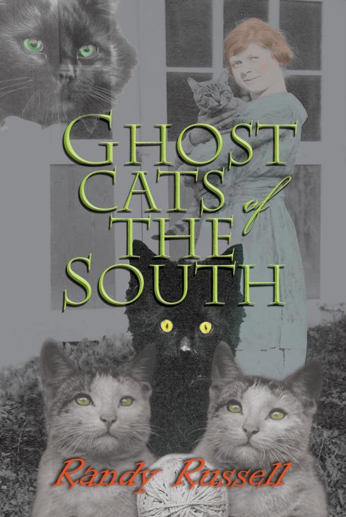 Cover of the book Ghost Cats of the South by Randy Russell, Blair