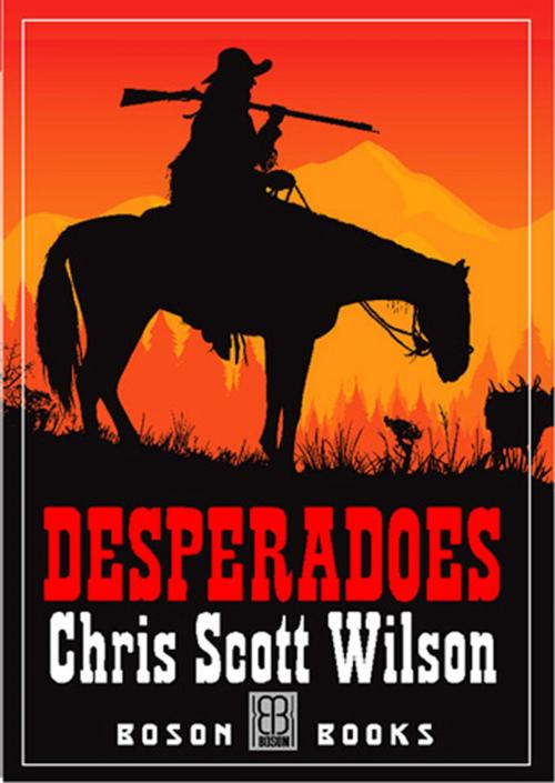 Cover of the book Desperadoes by Chris Scott Wilson, Bitingduck Press