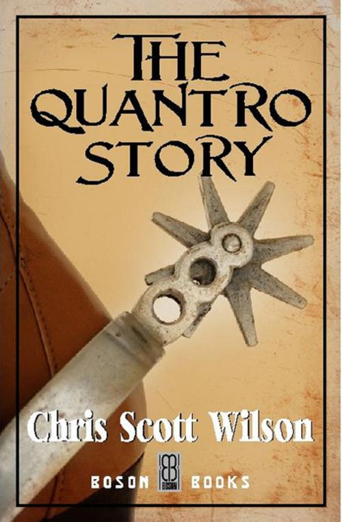 Cover of the book The Quantro Story by Chris Scott Wilson, Bitingduck Press