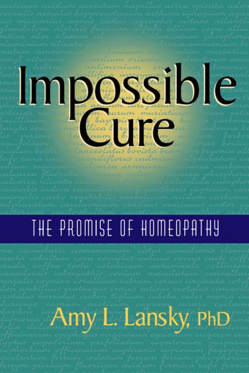 Cover of the book Impossible Cure by Amy L. Lansky, PhD, R.L.Ranch Press
