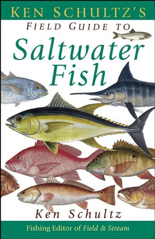 Cover of the book Ken Schultz's Field Guide to Saltwater Fish by Ken Schultz, Turner Publishing Company