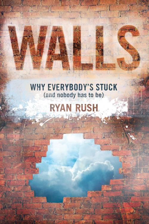 Cover of the book Walls by Ryan Rush, Tyndale House Publishers, Inc.
