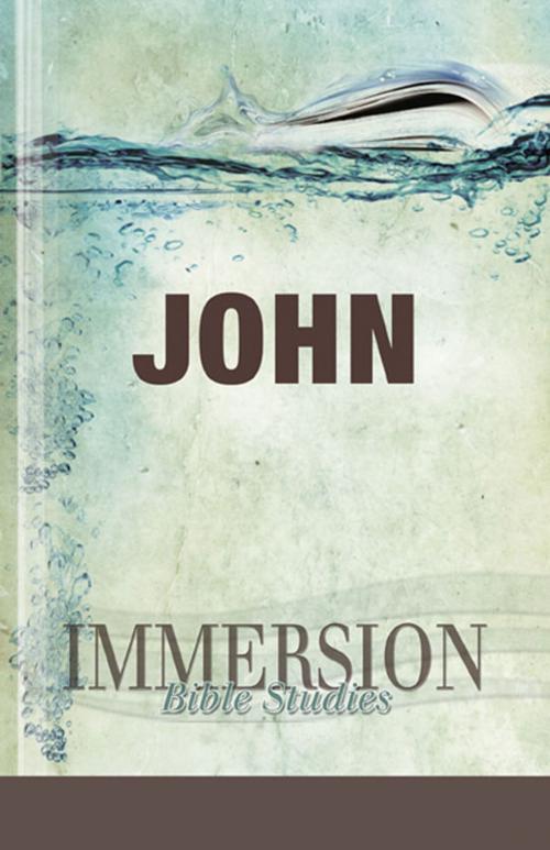 Cover of the book Immersion Bible Studies: John by Carol J. Miller, Abingdon Press