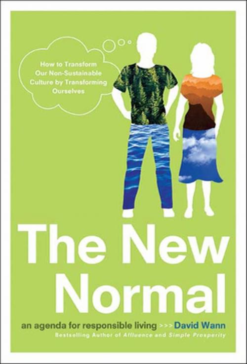 Cover of the book The New Normal by David Wann, St. Martin's Press