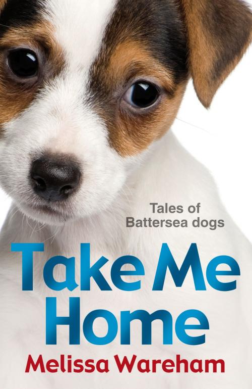 Cover of the book Take Me Home: Tales of Battersea Dogs by Melissa Wareham, RHCP