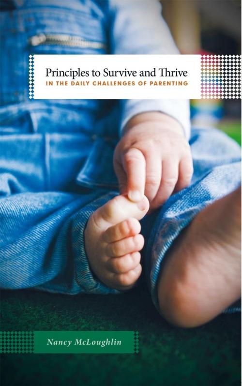 Cover of the book Principles to Survive and Thrive in the Daily Challenges of Parenting by Nancy McLoughlin, WestBow Press
