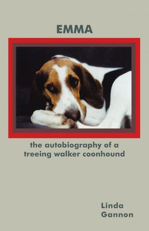 Cover of the book The Autobiography of a Treeing Walker Coonhound by Linda Gannon, iUniverse