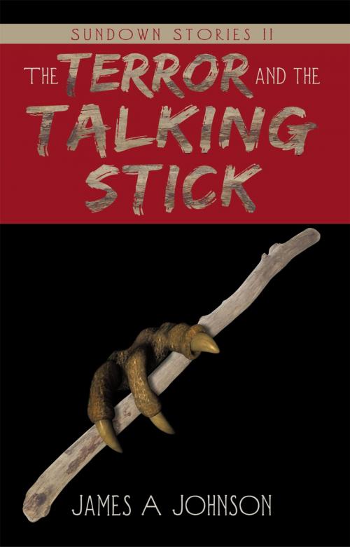 Cover of the book The Terror and the Talking Stick by James A Johnson, iUniverse