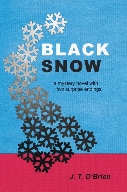 Cover of the book Black Snow by J. T. O’Brien, iUniverse