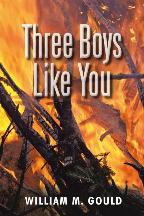 Cover of the book Three Boys Like You by William M. Gould, iUniverse