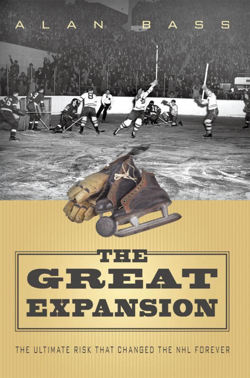 Cover of the book The Great Expansion by Alan Bass, iUniverse