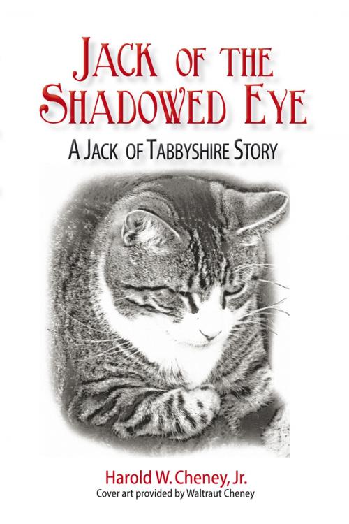 Cover of the book Jack of the Shadowed Eye by Harold W. Cheney Jr., iUniverse