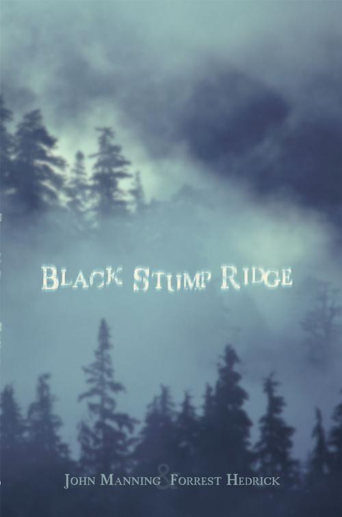 Cover of the book Black Stump Ridge by John Manning, Forrest Hedrick, iUniverse