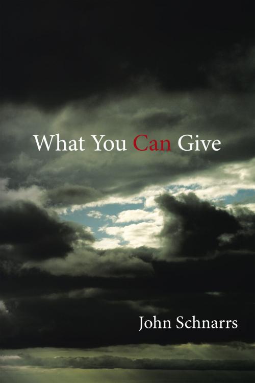 Cover of the book What You Can Give by John Schnarrs, AuthorHouse