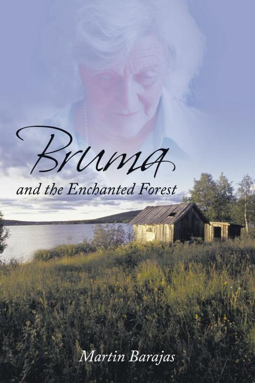 Cover of the book Bruma and the Enchanted Forest by Martin Barajas, AuthorHouse