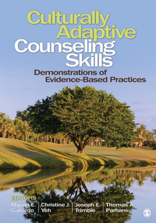 Cover of the book Culturally Adaptive Counseling Skills by , SAGE Publications
