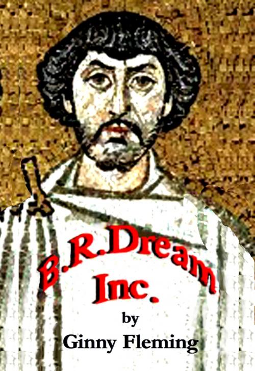 Cover of the book B.R. Dream Inc. by Ginny Fleming, Ginny Fleming