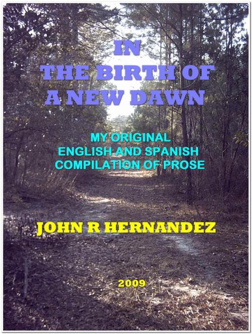 Cover of the book In the Birth of a New Dawn by John R. Hernandez, Jr., John R. Hernandez, Jr.