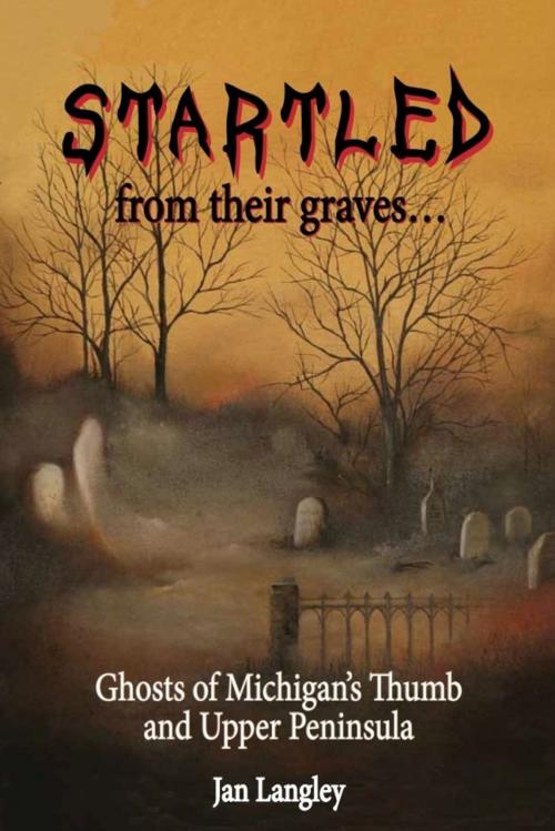 Cover of the book Startled from Their Graves... by Jan Langley, eBookIt.com