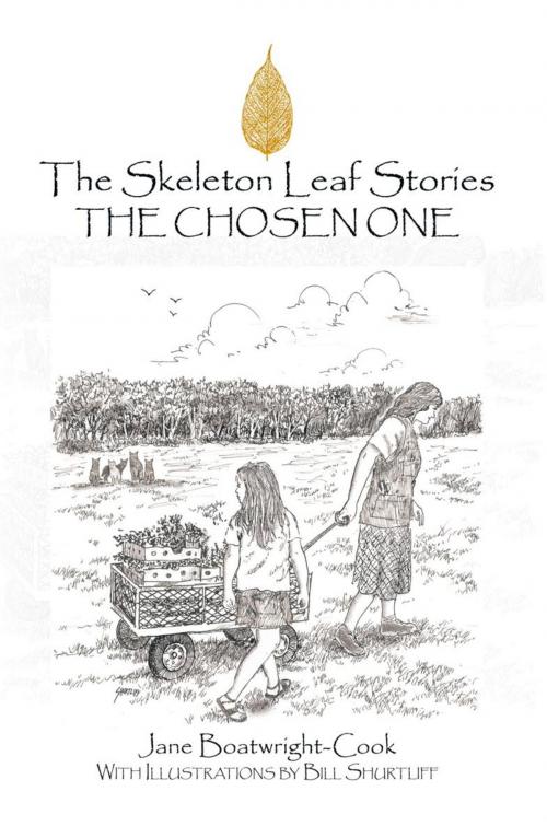 Cover of the book The Skeleton Leaf Stories by Jane Boa Twright-Cook, AuthorHouse