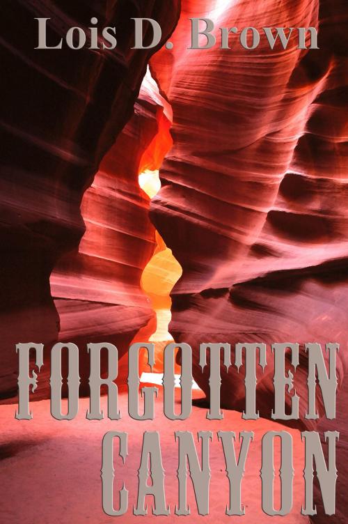 Cover of the book Forgotten Canyon by Lois D. Brown, Lois D. Brown