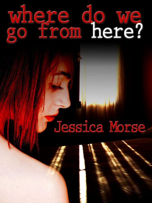 Cover of the book Where Do We Go From Here? by Jessica Morse, Jessica Morse
