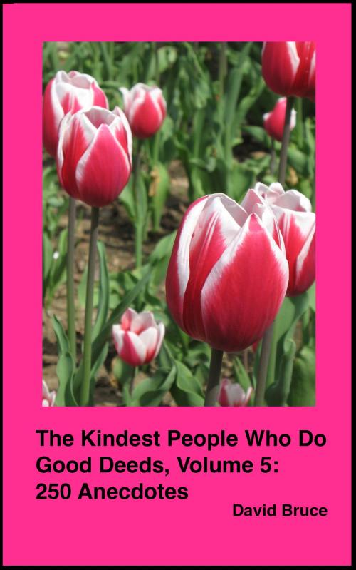 Cover of the book The Kindest People Who Do Good Deeds, Volume 5: 250 Anecdotes by David Bruce, David Bruce