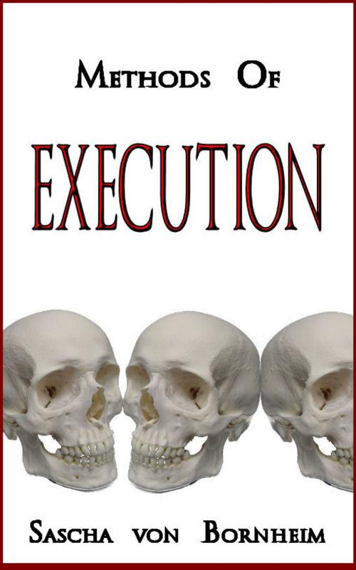 Cover of the book Methods of Execution by Sascha von Bornheim, Sascha von Bornheim