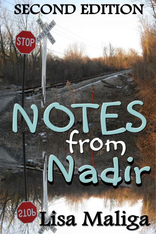 Cover of the book Notes from Nadir by Lisa Maliga, Lisa Maliga